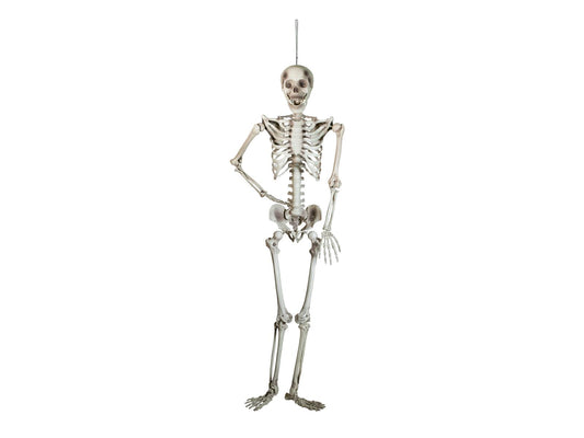 Europalms Halloween Skelett, 150 cm – Ansicht 2