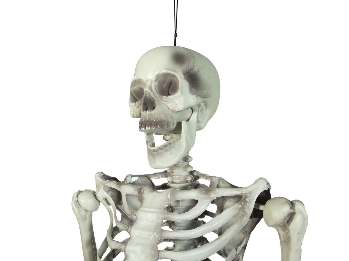 Europalms Halloween Skelett, 150 cm – Ansicht 3