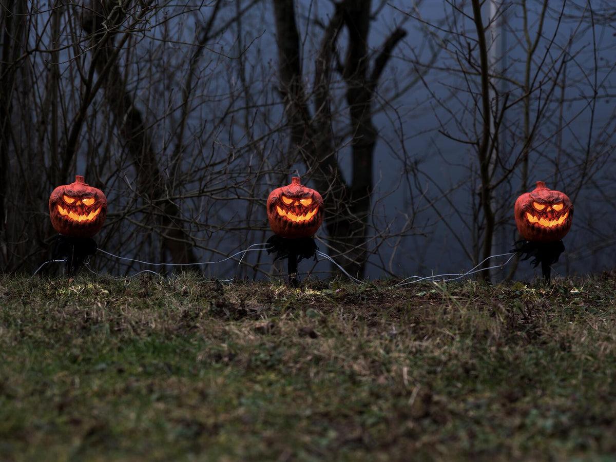 Europalms Halloween Kürbisse mit Erdspieß, 3er-Set, 39cm – Ansicht 4