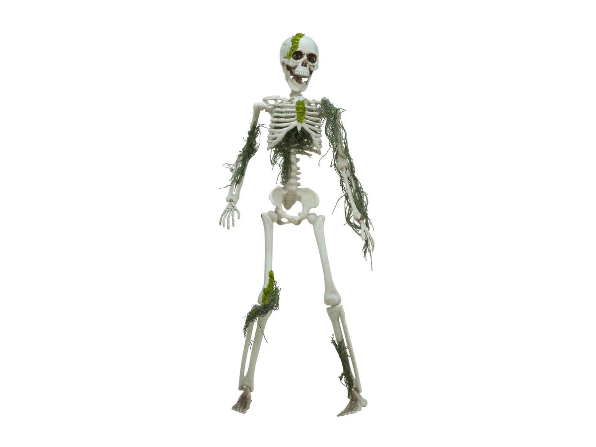 Europalms Halloween Skelett mit Moos, 40cm