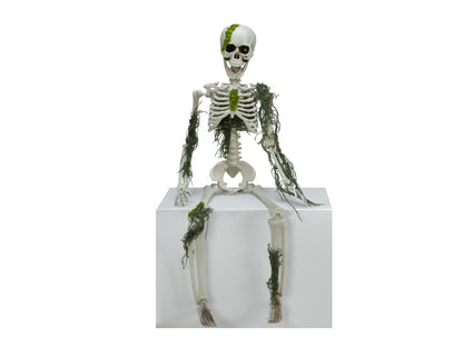 Europalms Halloween Skelett mit Moos, 40cm – Ansicht 2