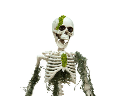 Europalms Halloween Skelett mit Moos, 40cm – Ansicht 3
