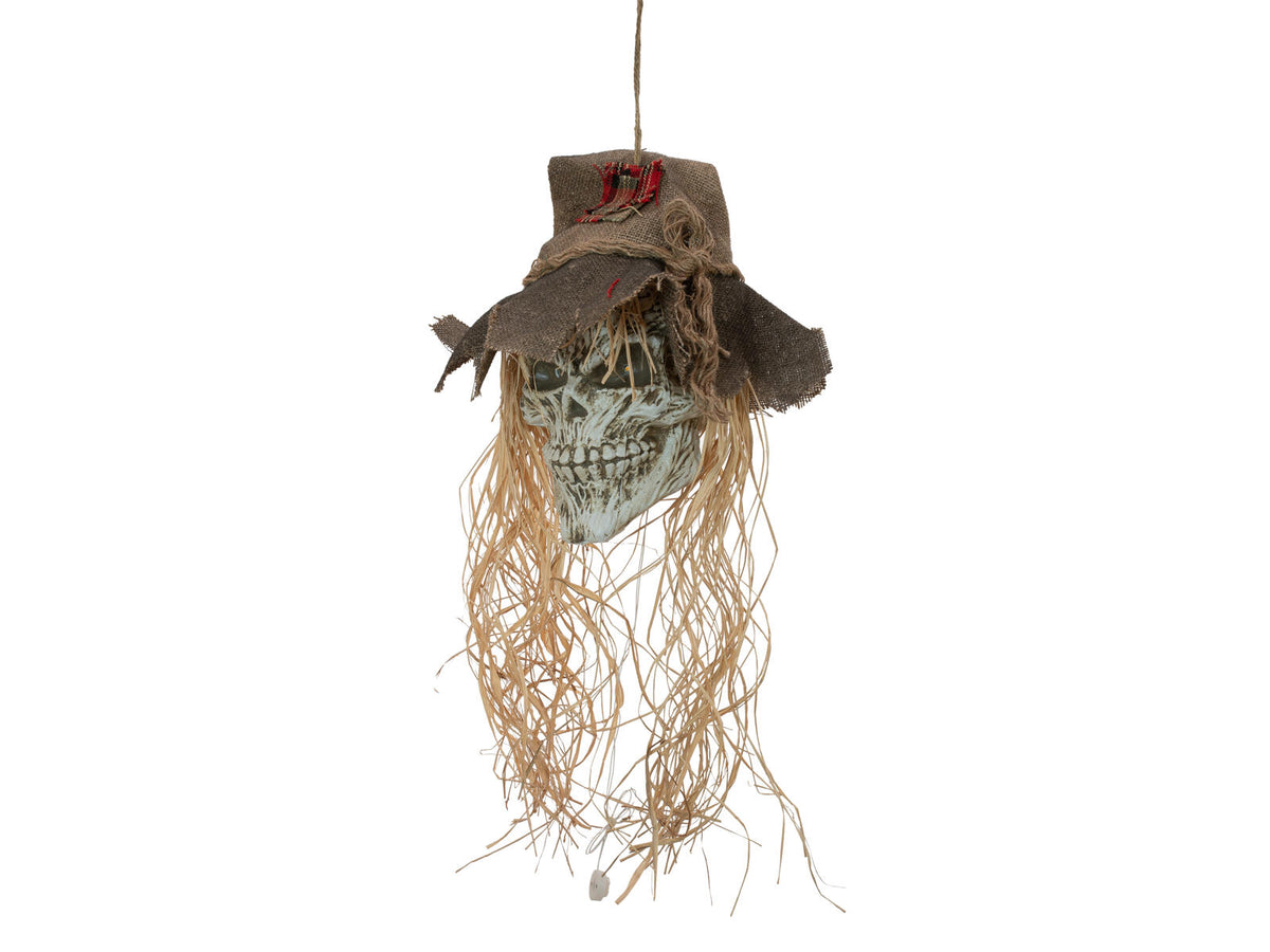 Europalms Halloween Vogelscheuchen-Schädel, 70cm – Ansicht 2