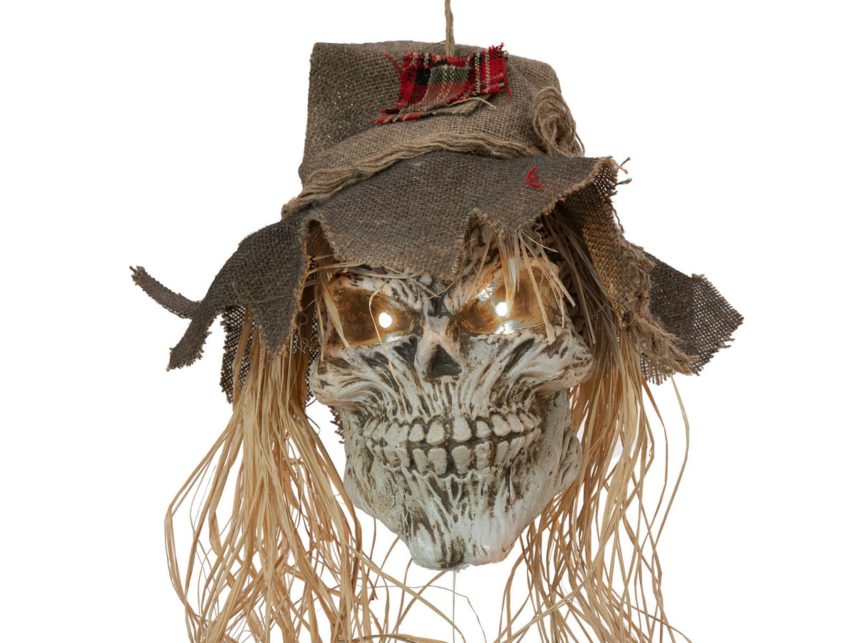 Europalms Halloween Vogelscheuchen-Schädel, 70cm – Ansicht 3