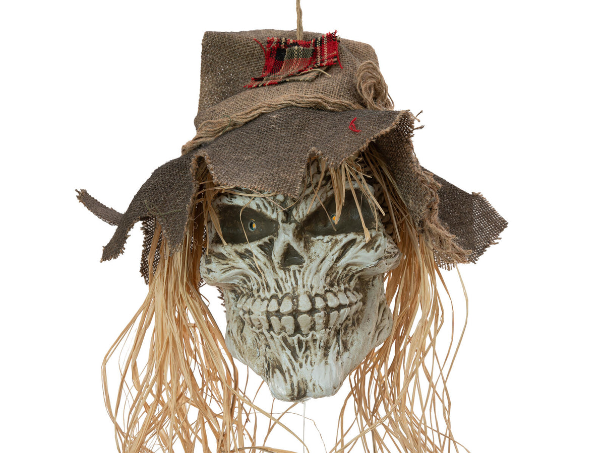 Europalms Halloween Vogelscheuchen-Schädel, 70cm – Ansicht 4