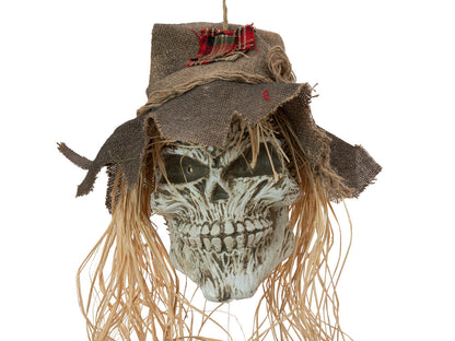 Europalms Halloween Vogelscheuchen-Schädel, 70cm – Ansicht 4