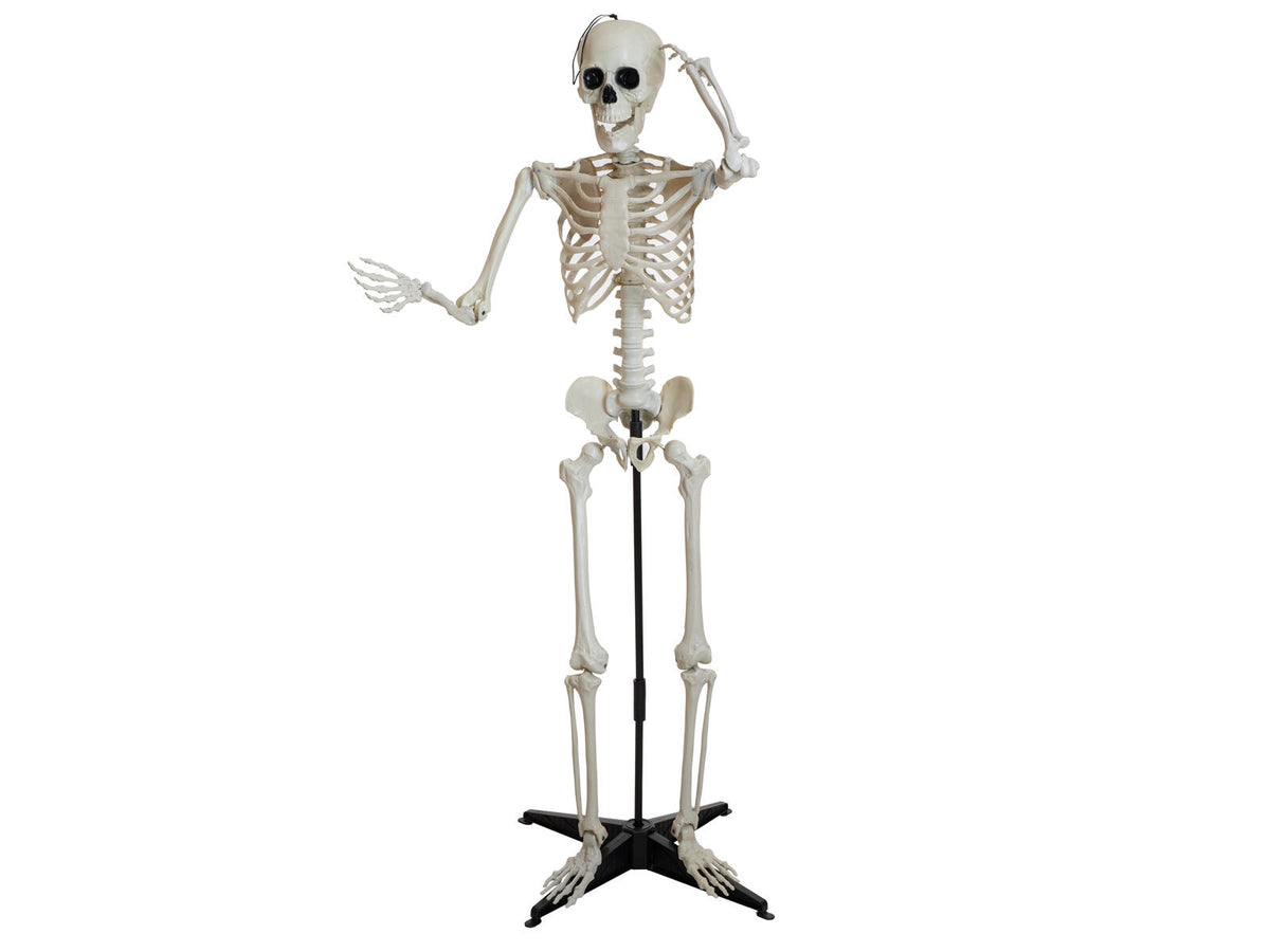 Europalms Halloween Skelett, stehend, 150 cm