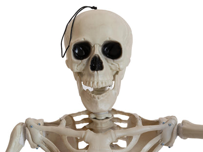 Europalms Halloween Skelett, stehend, 150 cm – Ansicht 3