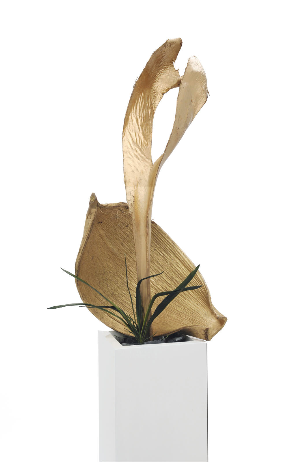 Europalms Palmblattkopf, getrocknet, gold – Ansicht 3