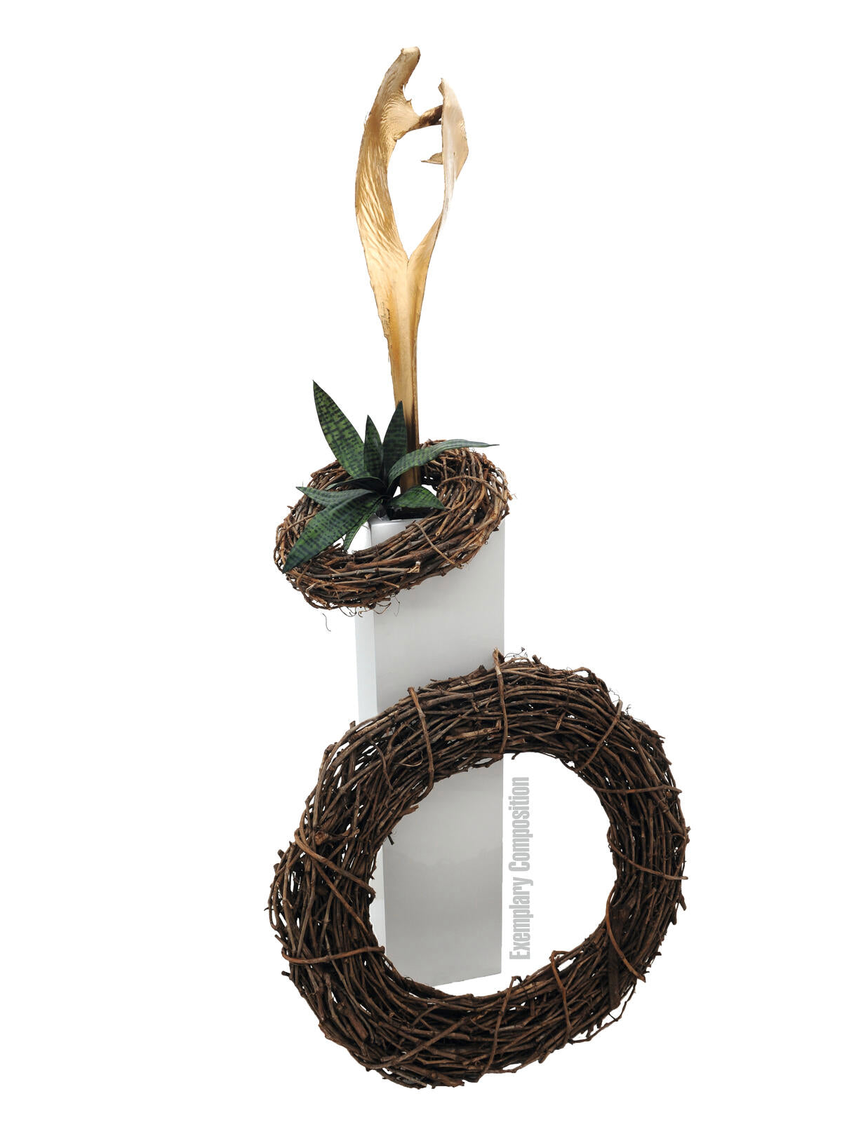 Europalms Palmblattkopf, getrocknet, gold – Ansicht 5