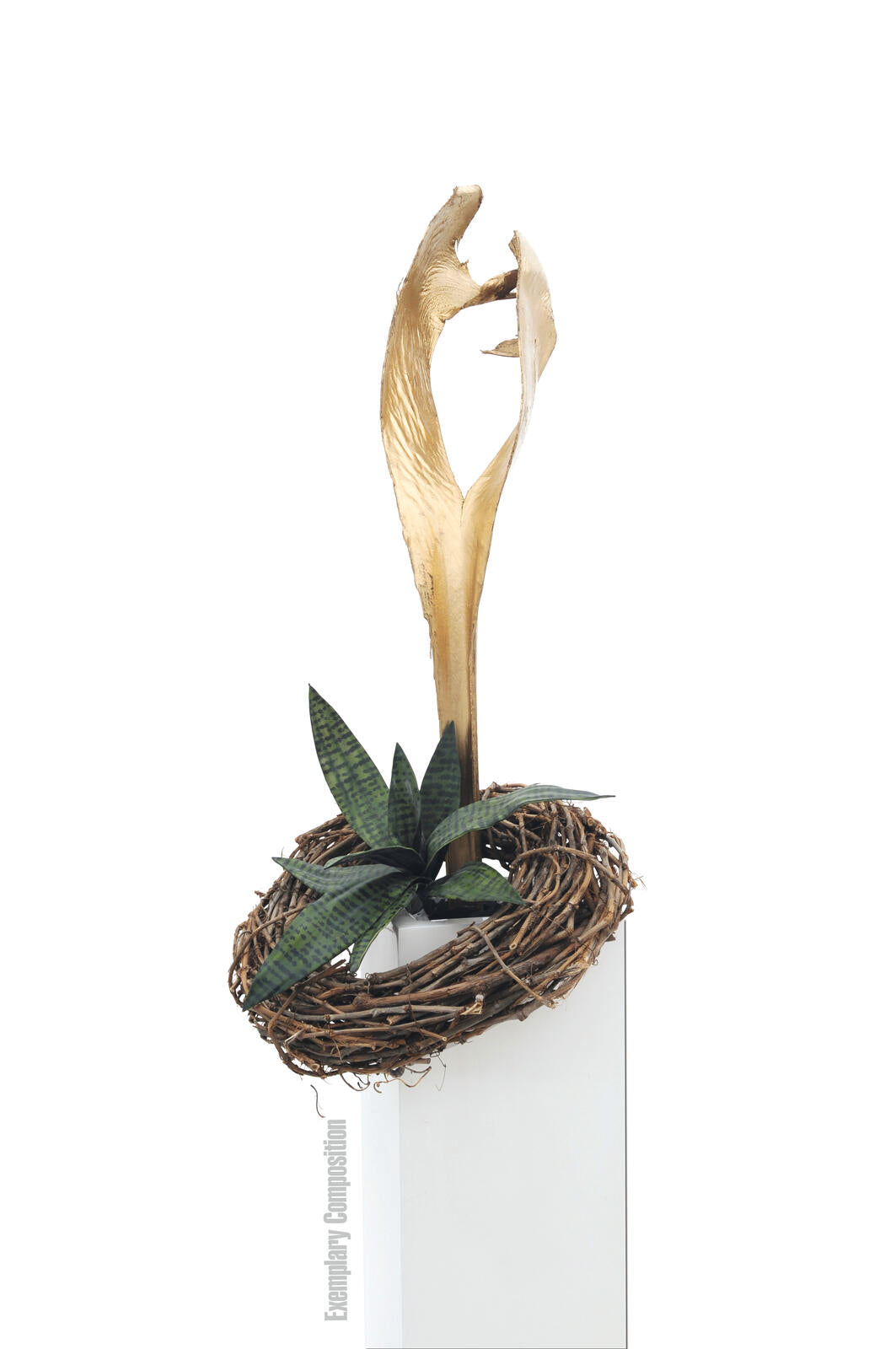 Europalms Palmblattkopf, getrocknet, gold – Ansicht 7