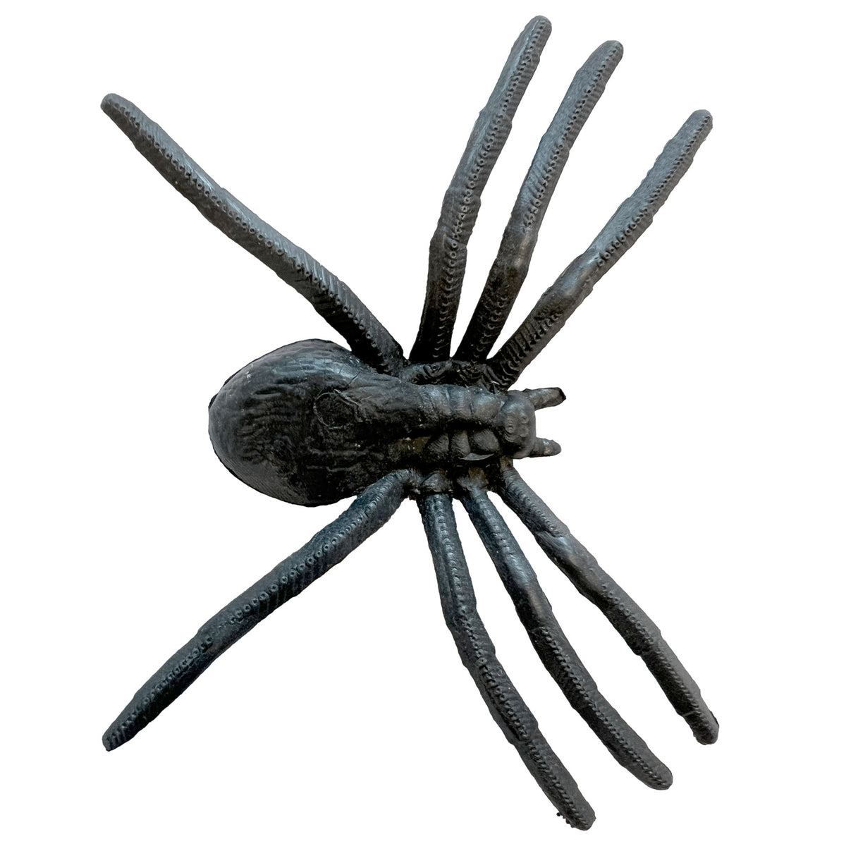 Spinnennetz-Stoff mit 13 Spinnen